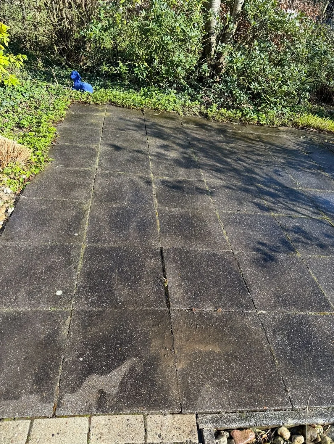 Hausmeisterdienst und Reinigungsarbeiten - Fliesenreinigung