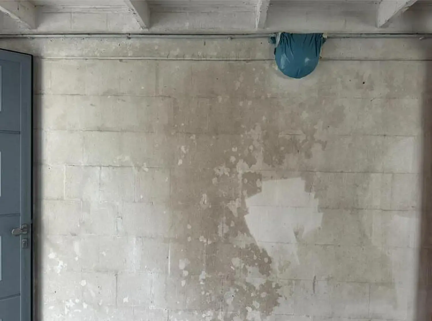 Hausmeisterdienst und Reinigungsarbeiten - Bodenreinigung