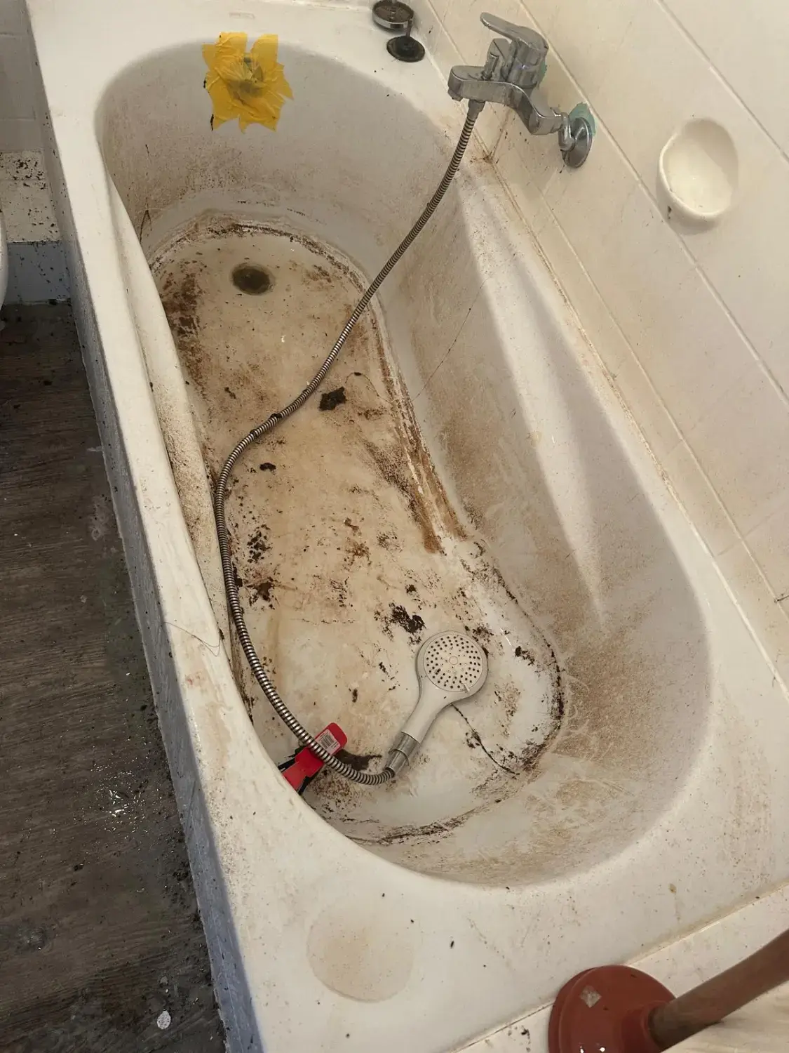 Hausmeisterdienst und Reinigungsarbeiten - Waschraumreinigung