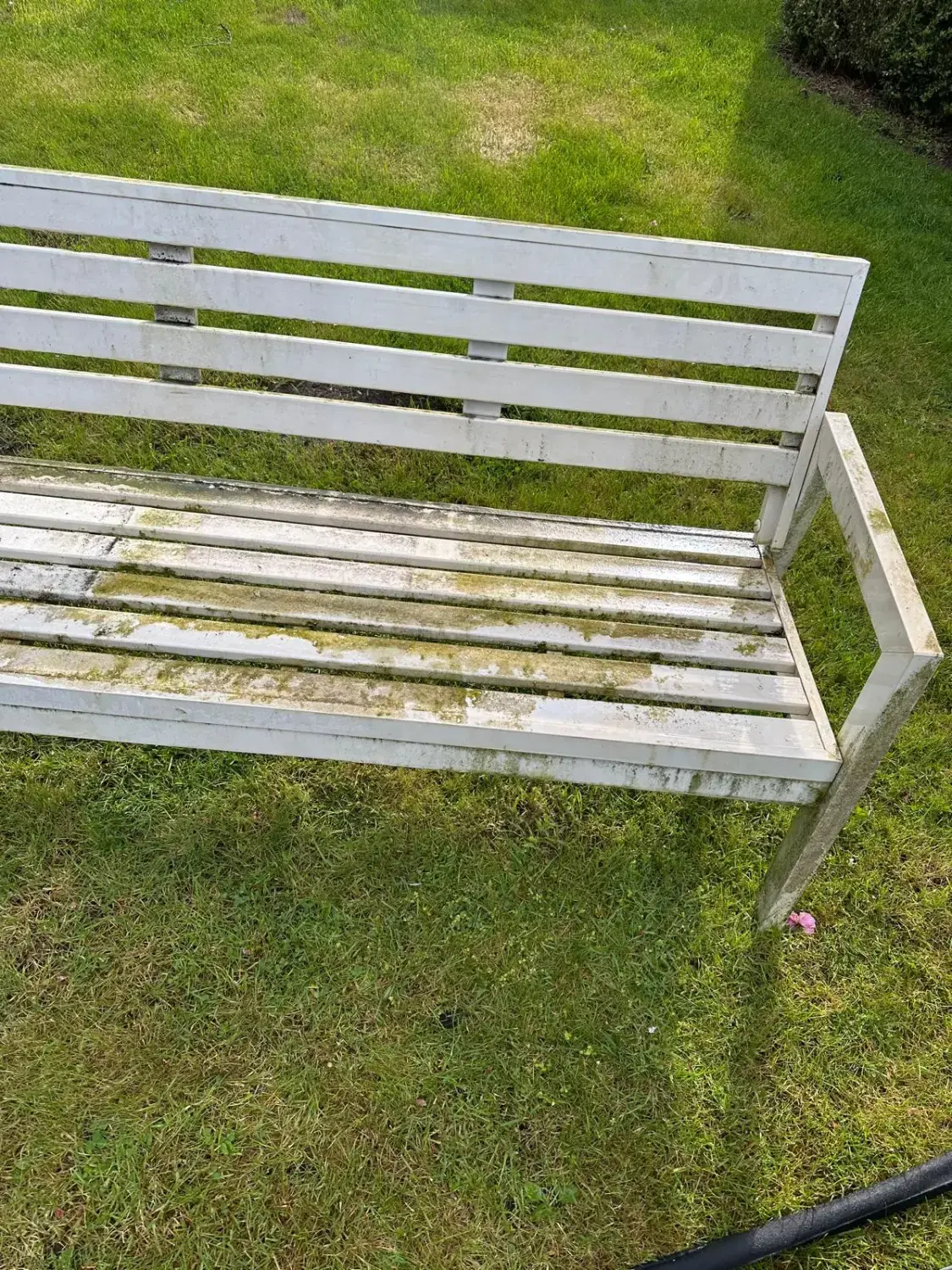 Hausmeisterdienst und Reinigungsarbeiten - Bankreinigung