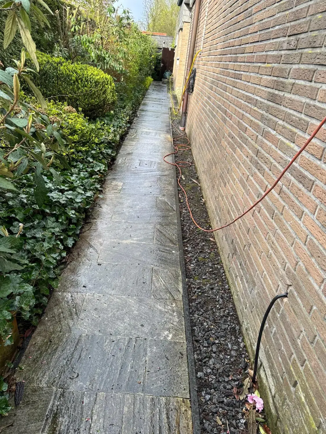 Hausmeisterdienst und Reinigungsarbeiten - Hinterhof Reinigung