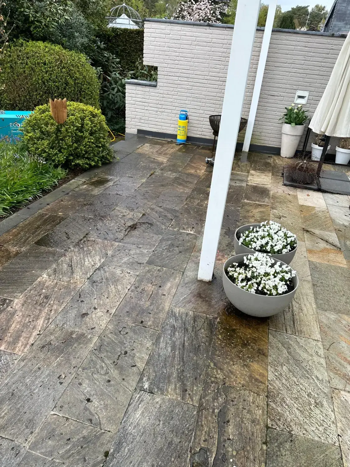 Hausmeisterdienst und Reinigungsarbeiten - Bodenreinigung