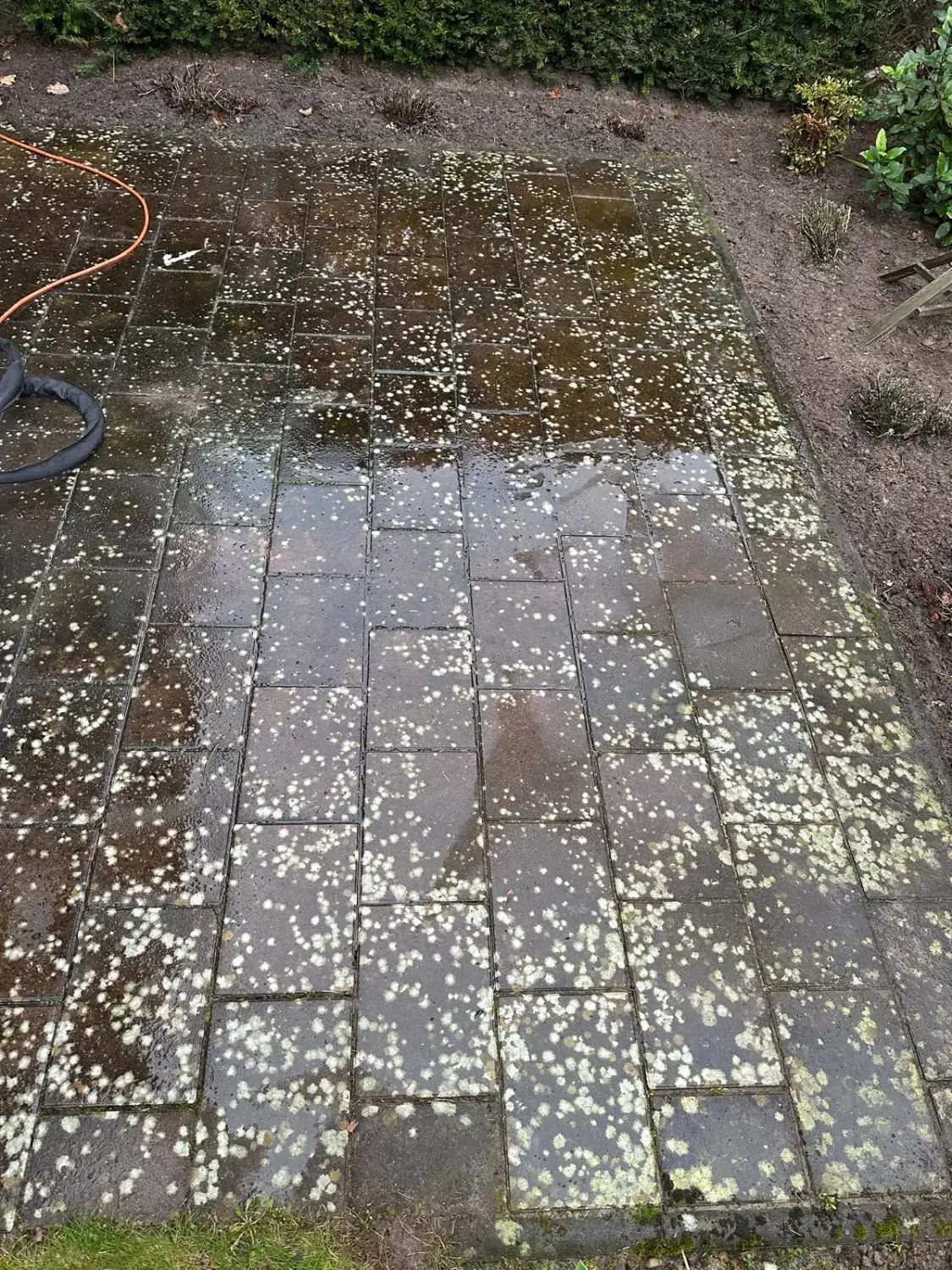 Hausmeisterdienst und Reinigungsarbeiten - Rasenreinigung