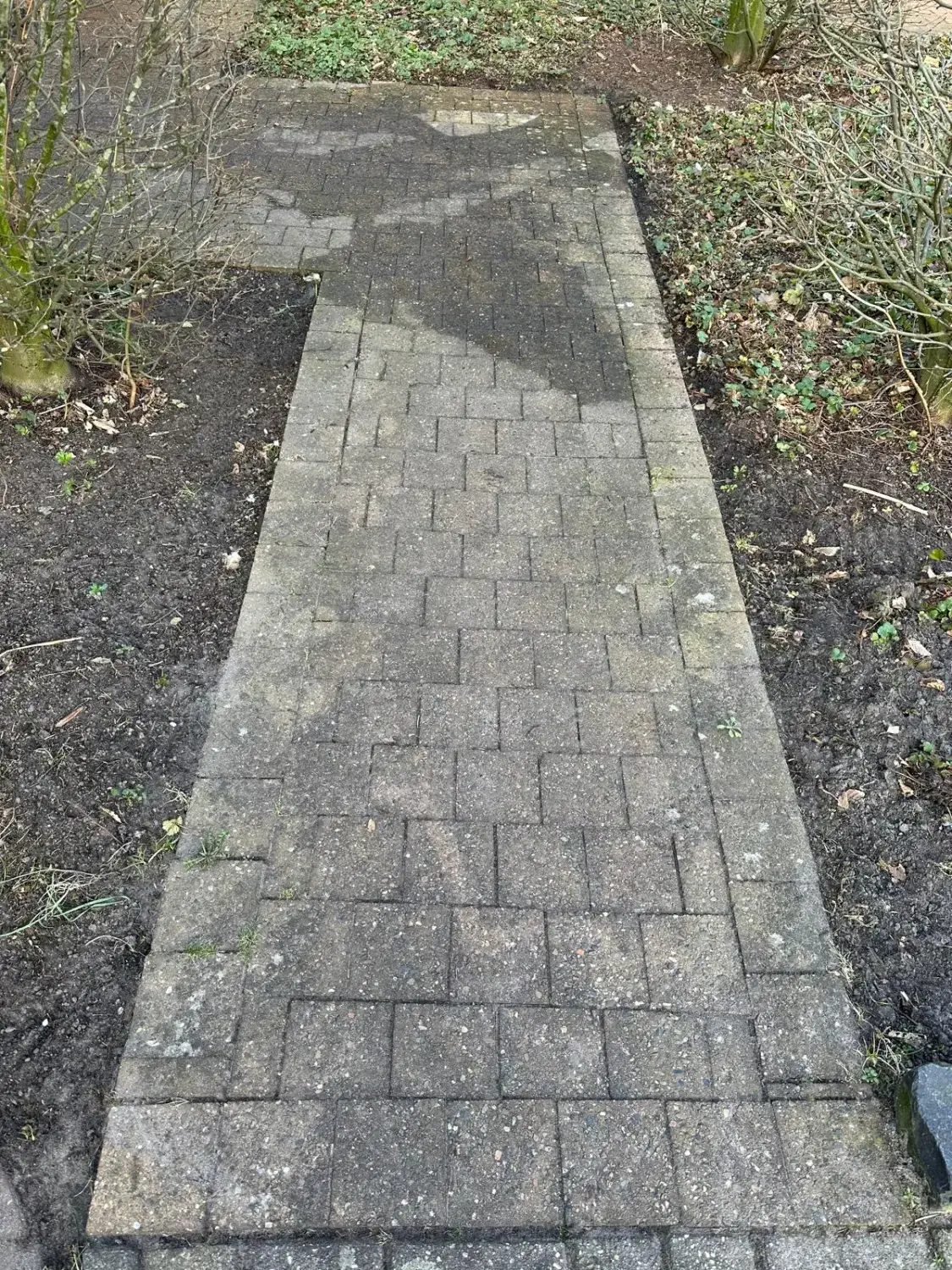 Hausmeisterdienst und Reinigungsarbeiten - Rasenreinigung