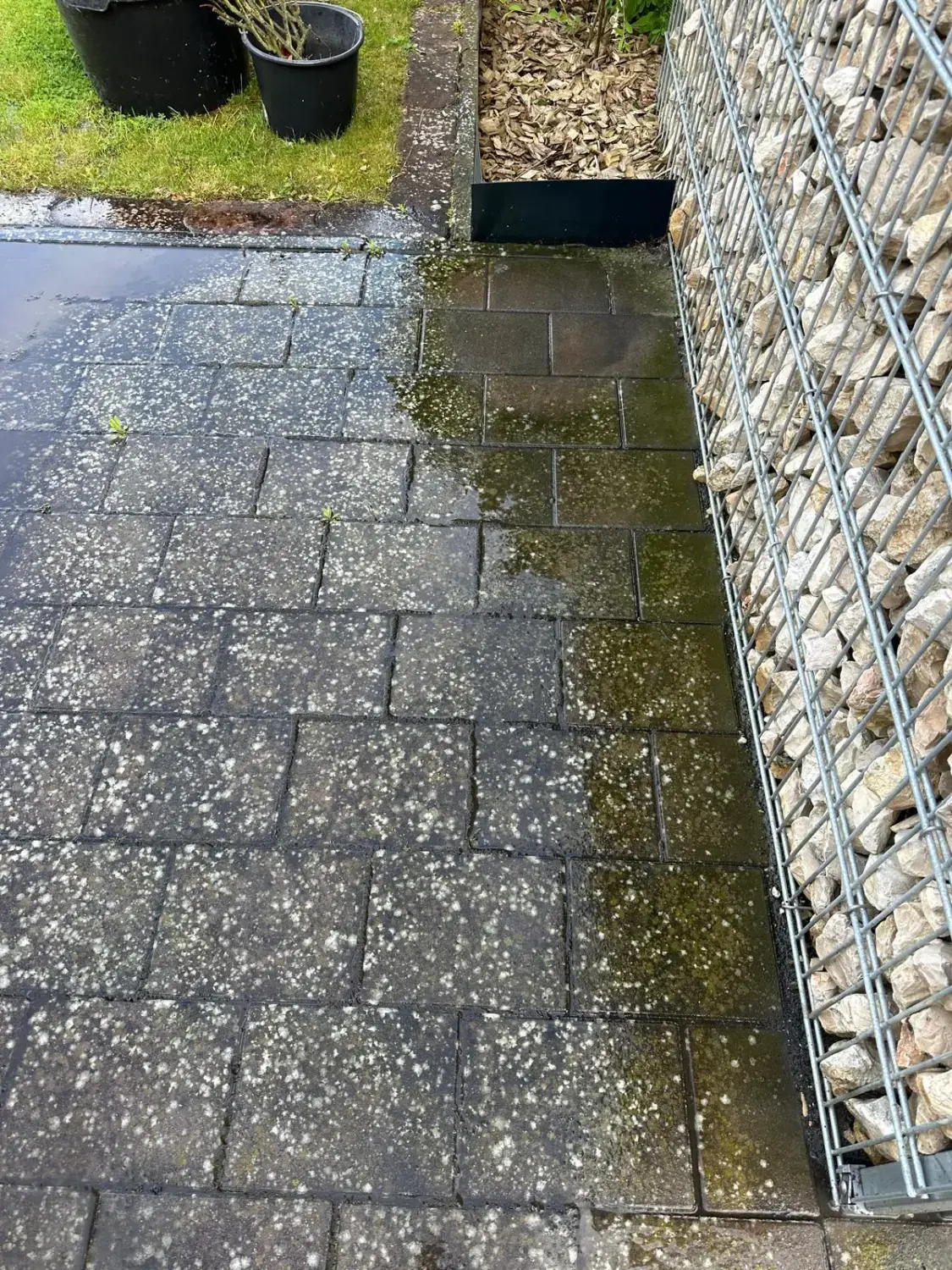 Hausmeisterdienst und Reinigungsarbeiten - Fliesenreinigung